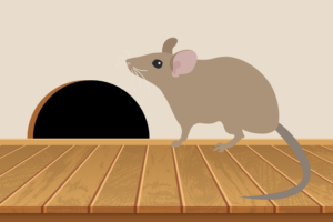 Rodent Damage & Preventative Steps to Take This Winter in Portland, OR